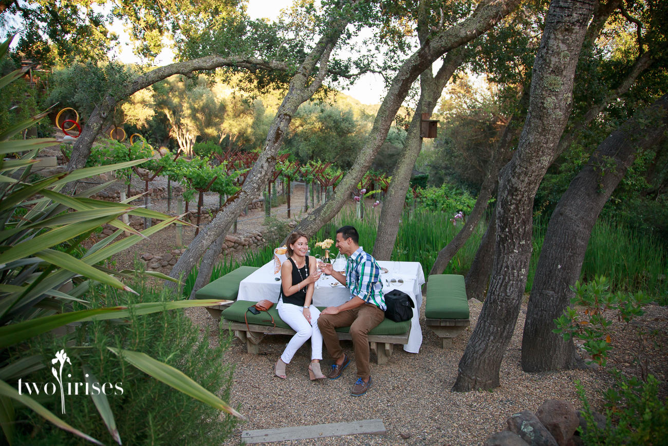 auberge du soleil proposal