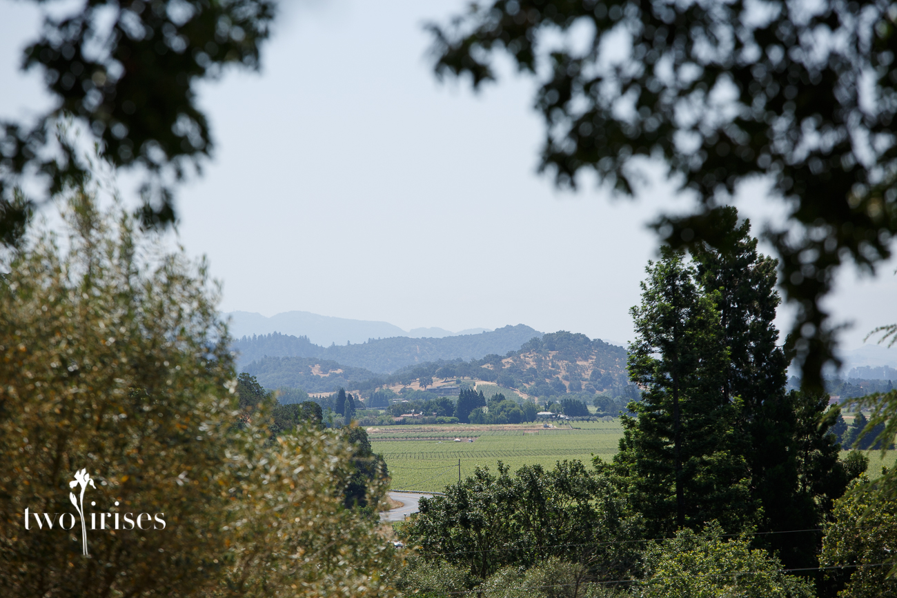 napa surprise proposal