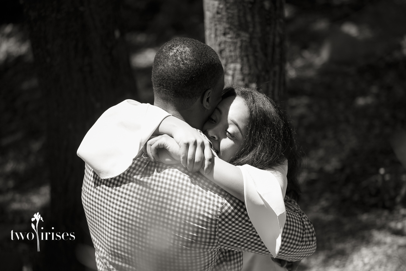 napa surprise proposal