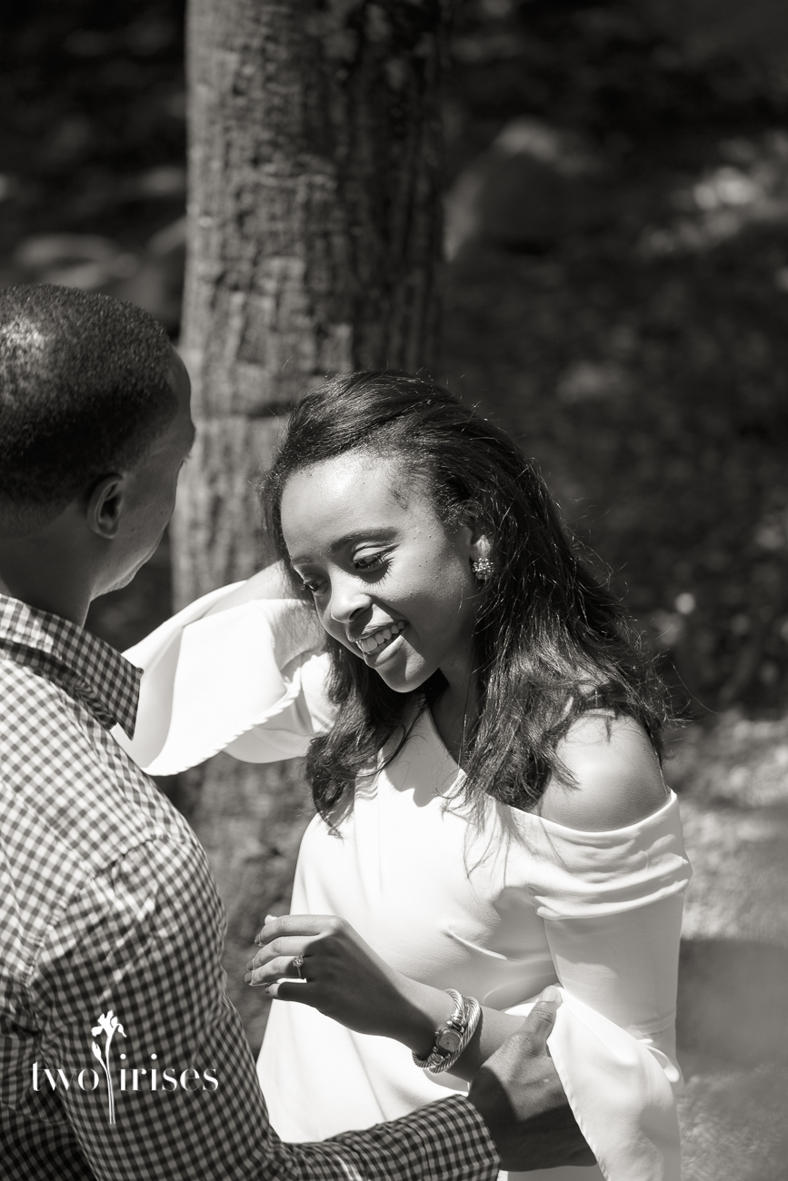 napa surprise proposal