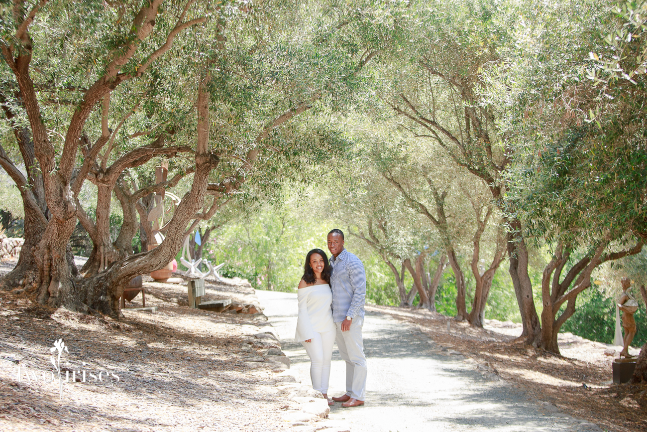 napa surprise proposal