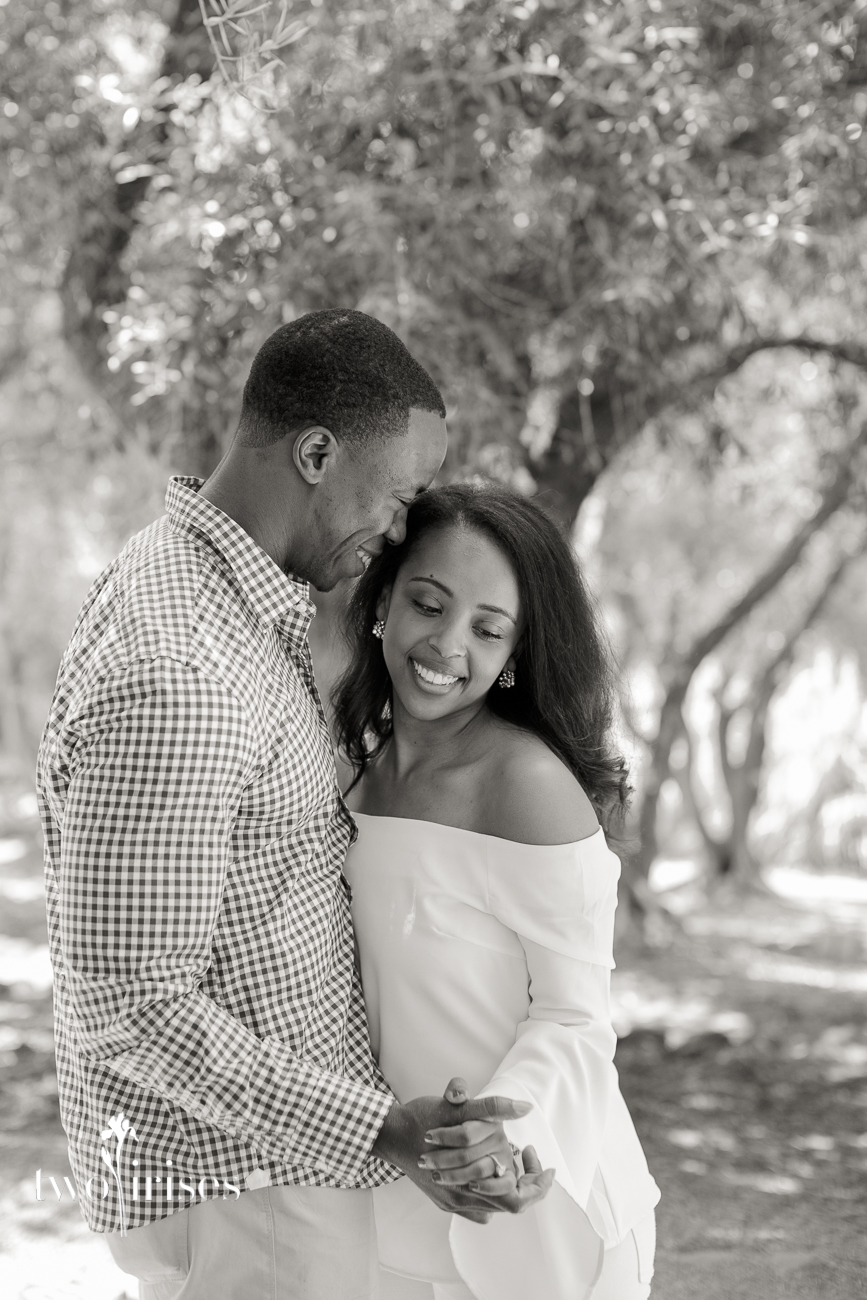napa surprise proposal