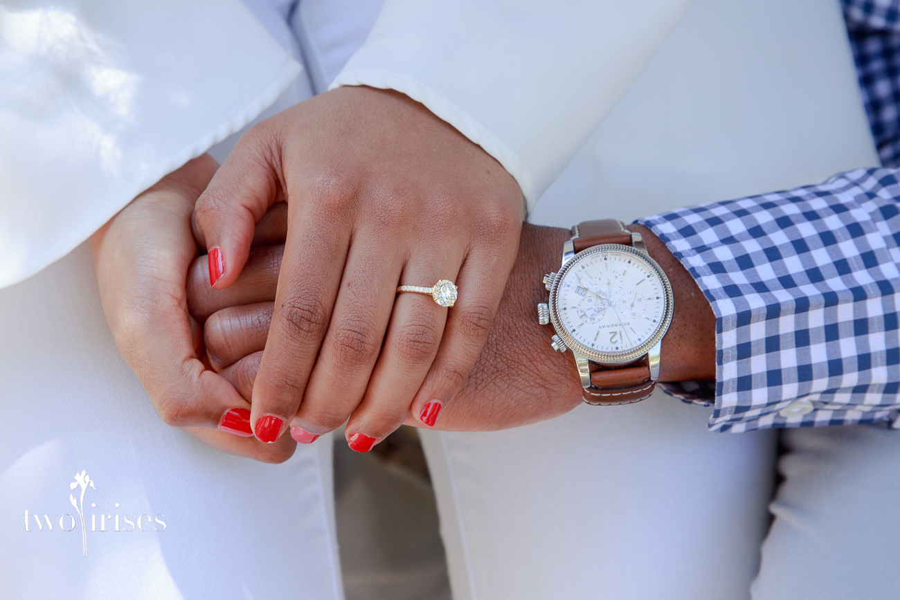 napa surprise proposal