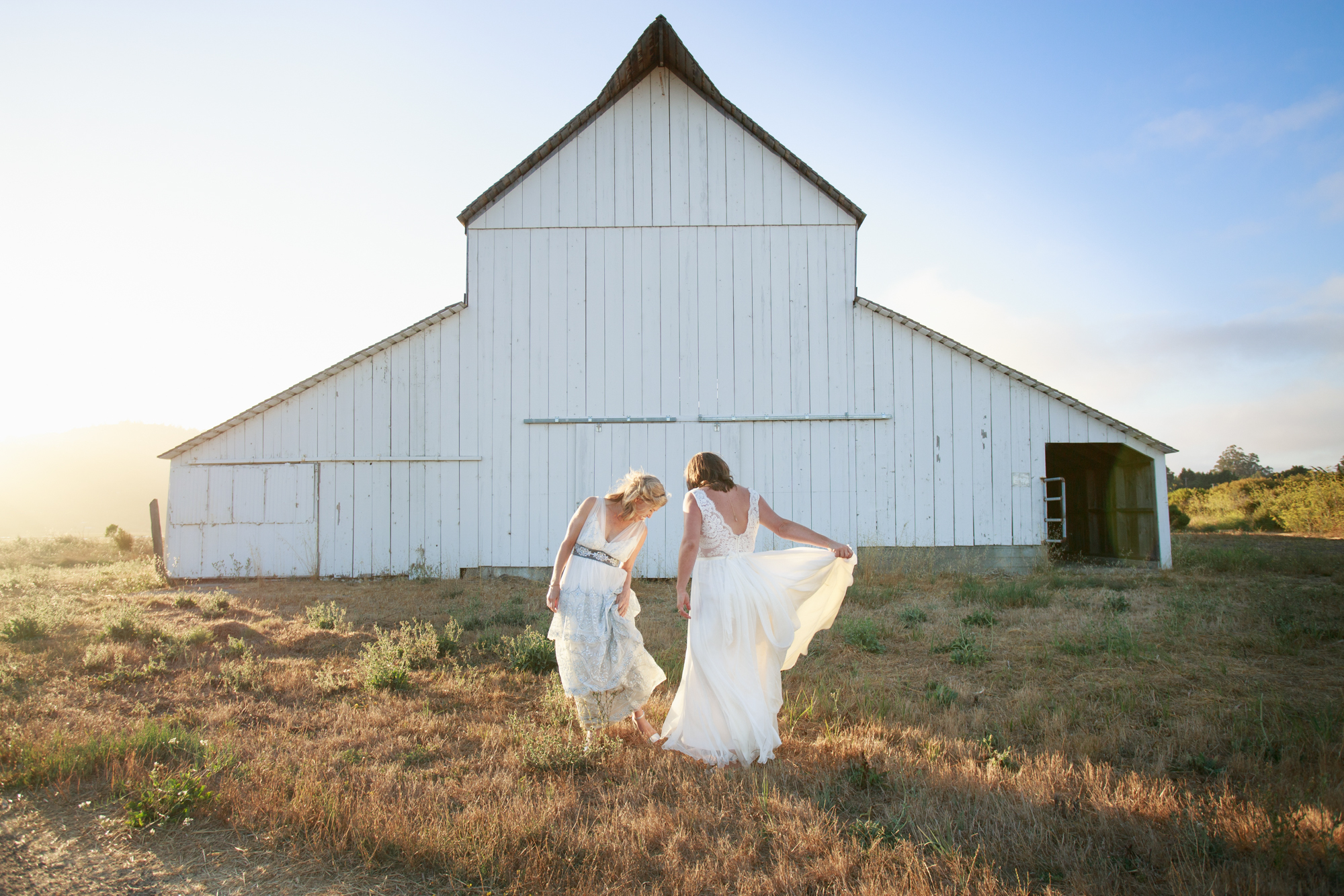 Two Brides at Giacomini Barn, Point Reyes Station